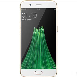 哈尔滨OPPO R11 全网通4G+64G 双卡双待手机 金色总代理批发兼零售，哈尔滨购网www.hrbgw.com送货上门,OPPO R11 全网通4G+64G 双卡双待手机 金色哈尔滨最低价格