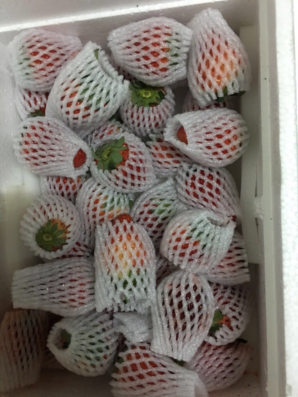 哈尔滨四川双流冬草莓总代理批发兼零售，哈尔滨购网www.hrbgw.com送货上门,四川双流冬草莓哈尔滨最低价格批发零售,哈尔滨购物网,哈尔滨购物送货上门。